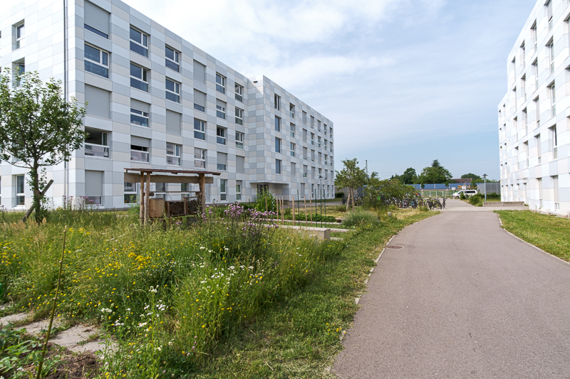 Ausblick auf Wohnheim Campus Technische Fakultät von außen