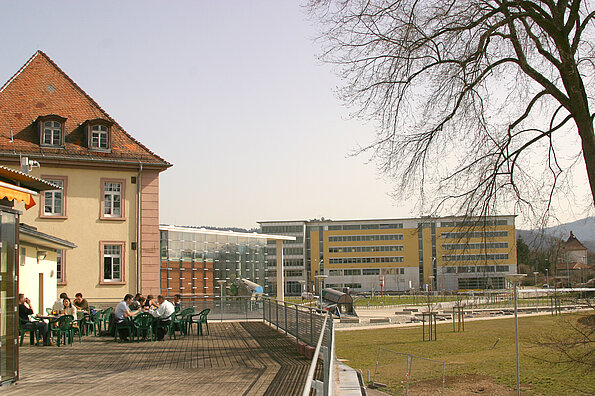 Ausblick auf Terrasse und Umgebung